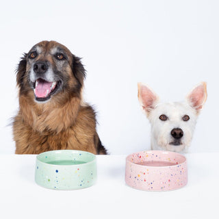 New Party Pet Bowl 16,5cm Set 2 Green